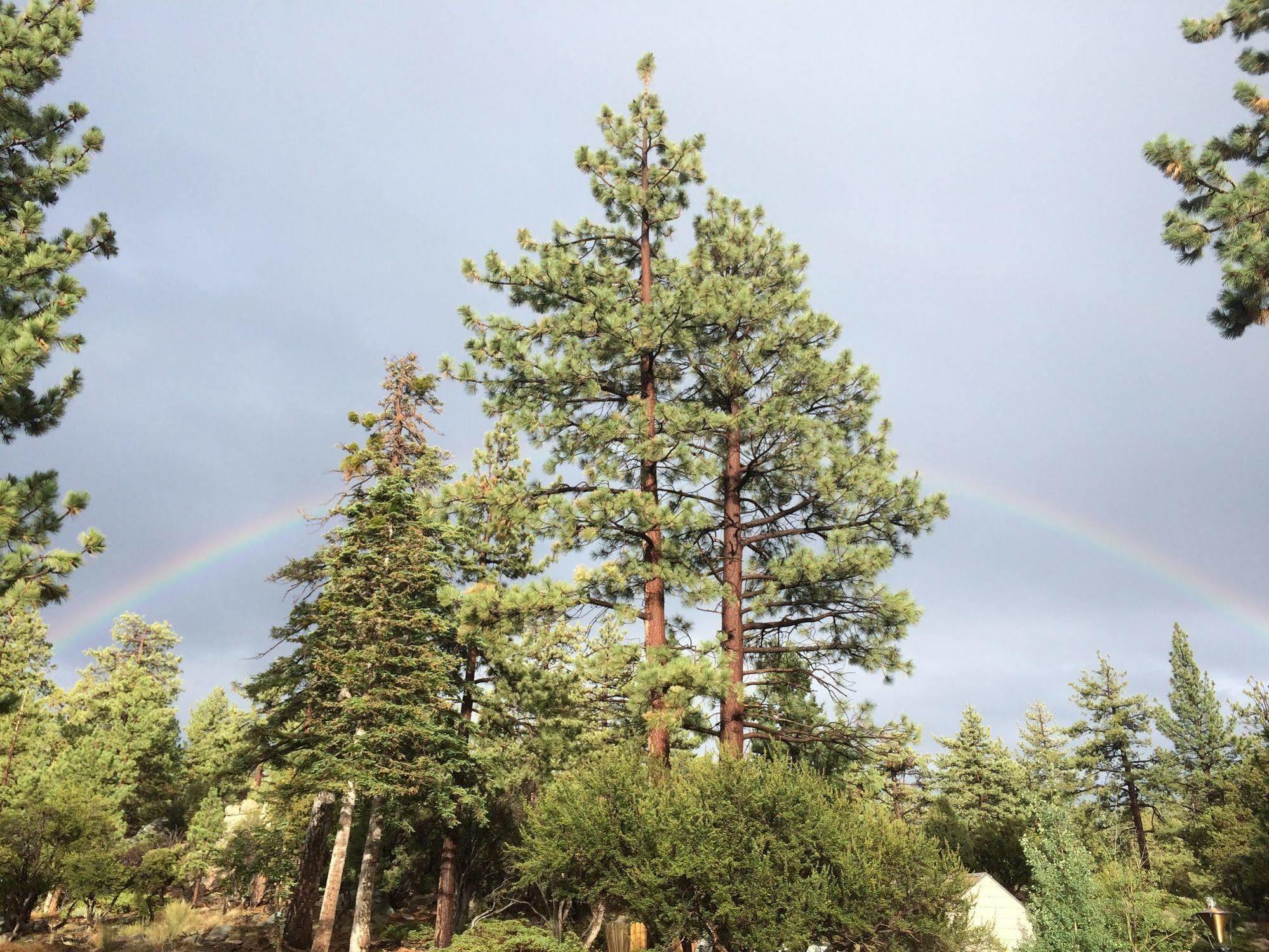 Cienaga Creek Ranch Villa Big Bear Lake Dış mekan fotoğraf