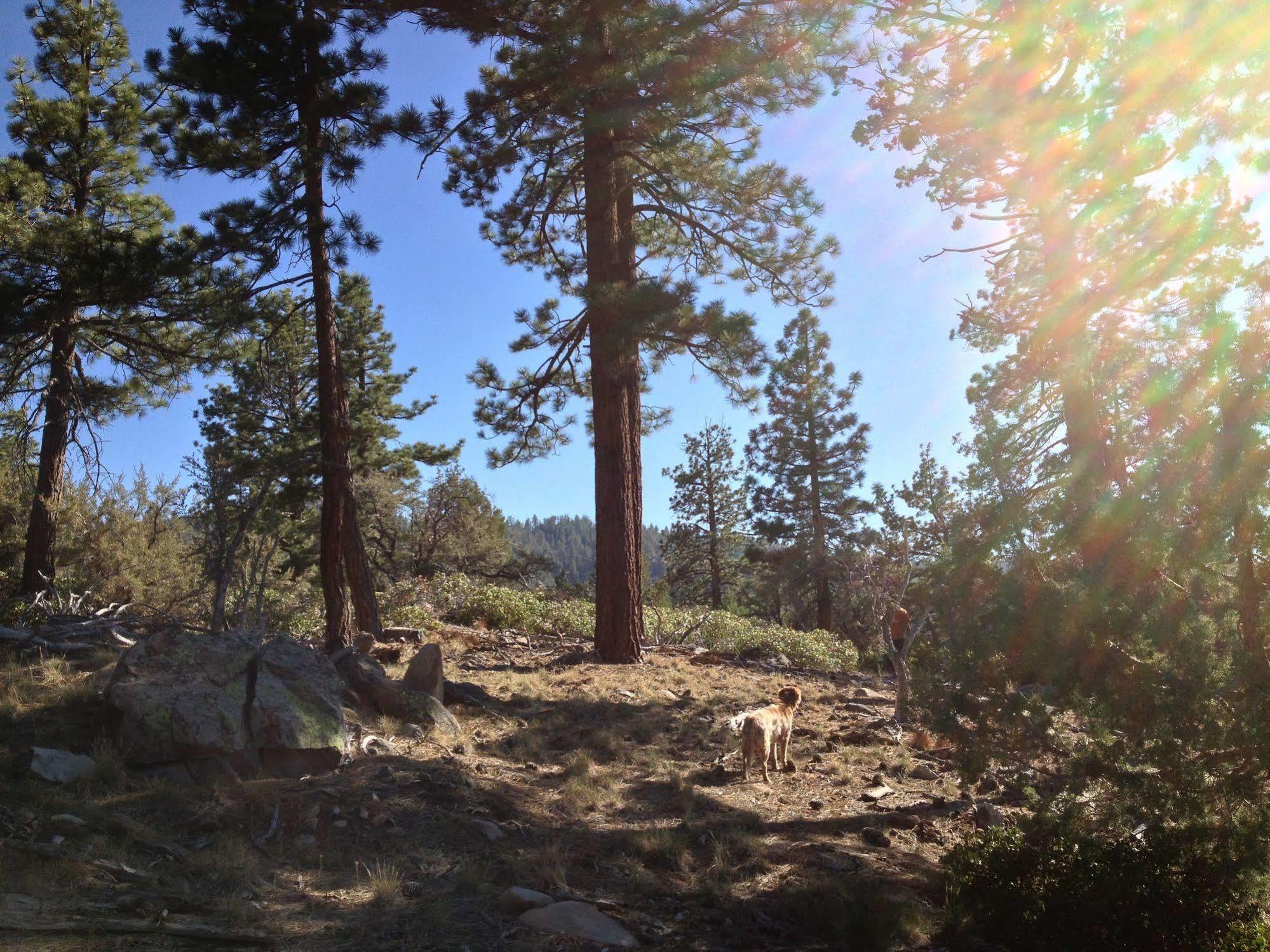 Cienaga Creek Ranch Villa Big Bear Lake Dış mekan fotoğraf